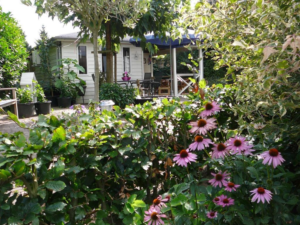 Reuver Locanda Al Drago חדר תמונה
